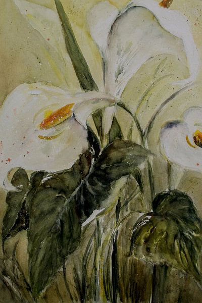 Calla by Christine Nöhmeier