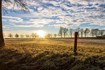 Morning rise