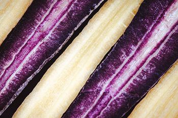 Des carottes multicolores : des légumes aux couleurs vives, jaunes et violets