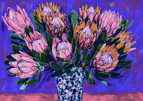 Protea-Blumen | Lebendige Blumenfreude
