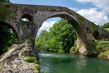Stenen brug over een rustige rivier omgeven door weelderig groen in spanje van ChrisWillemsen