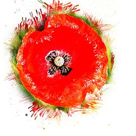 Poppy (abstract, sketch, art) by Art by Jeronimo