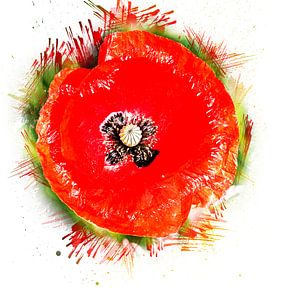 Coquelicot (abstrait, croquis, art) sur Art by Jeronimo