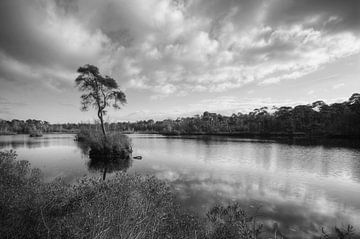 Landschap - Duotone van Angelique Brunas