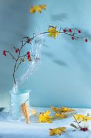 Stilleven ‘Herfst sonate’