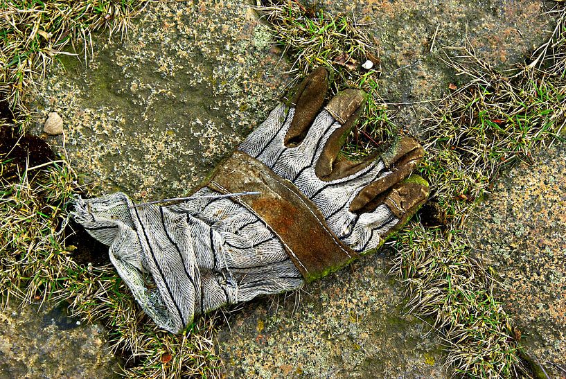Handschuh 003 von Norbert Sülzner