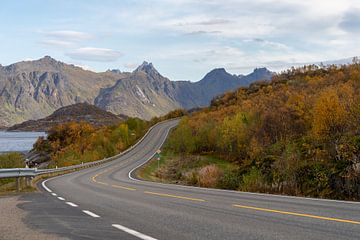 Een weg op de Lofoten in Noorwegen van Matthijs Moeyaert