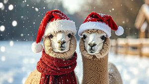 Alpakas mit Weihnachtsmannmütze...