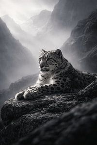 Léopard des neiges dans les montagnes brumeuses – photo d'art animalière sereine en noir et blanc