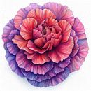 Nelkenblüte von Chromatic Fusion Studio Miniaturansicht