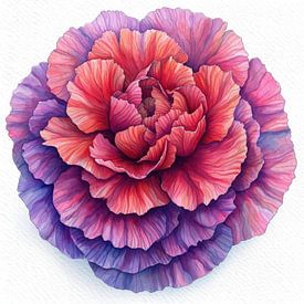 Nelkenblüte von Chromatic Fusion Studio