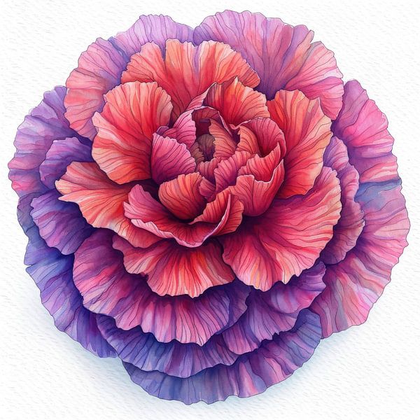 Nelkenblüte von Chromatic Fusion Studio