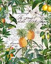 Tropical Fruits by Andrea Haase thumbnail
