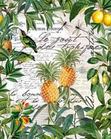 Tropical Fruits
