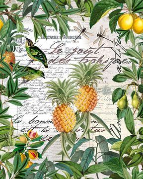 Tropische Früchte von Andrea Haase