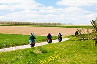 landschap met scooters par Marcel Derweduwen Aperçu