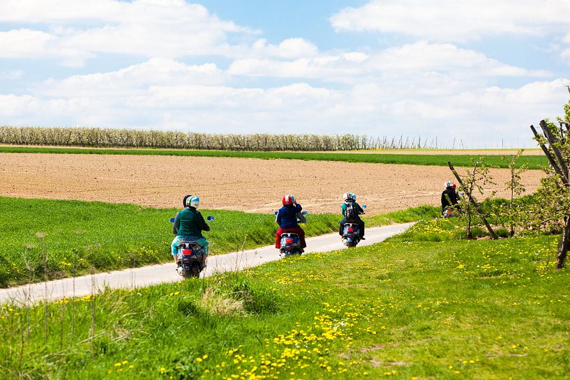 landschap met scooters par Marcel Derweduwen