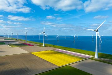 Tulpen in landbouwvelden met windturbines op de achtergrond