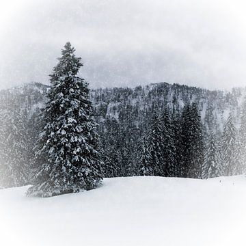 Bavarian Winter's Tale IV van Melanie Viola
