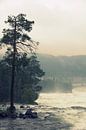 landschap Zweden von joost vandepapeliere Miniaturansicht