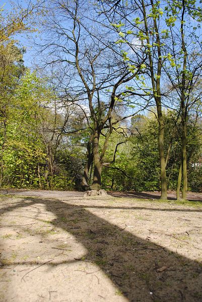 The Woods von Lyn Van Veldhoven