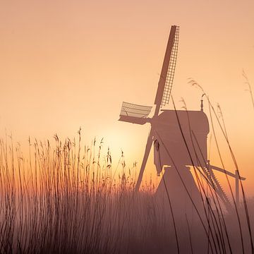 Lever de soleil chaleureux sur Halma Fotografie