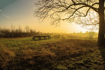 Stilte in de morgen