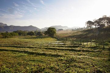 Das berühmte Ackerland und Tabakgebiet Kubas bei Sonnenuntergang, Valley de Vinales, Pinar del Rio,  von Tjeerd Kruse