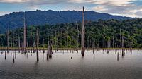 Het Brokopondomeer in Suriname