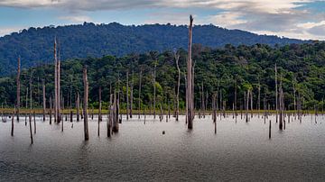 Lake Brokopondo in Suriname by René Holtslag