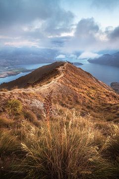New Zealand Roy's Peak by Jean Claude Castor