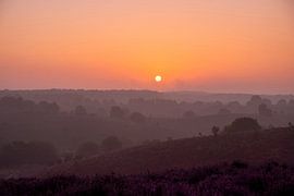 Sonnenaufgang nebelig Posbank von Sander van Hemert