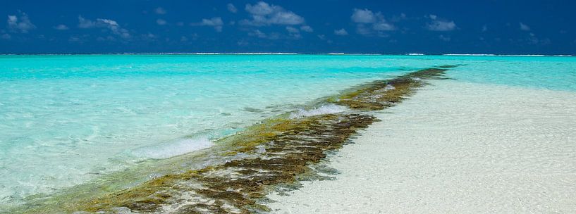 Honeymoon Island, Aitutaki - Cook Islands par Van Oostrum Photography