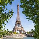 PARIS Eiffelturm & Seine von Melanie Viola Miniaturansicht
