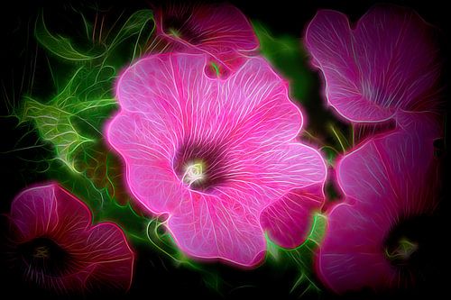 Stralende bloem
