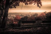 Herfst in Praag op de Petrin heuvel