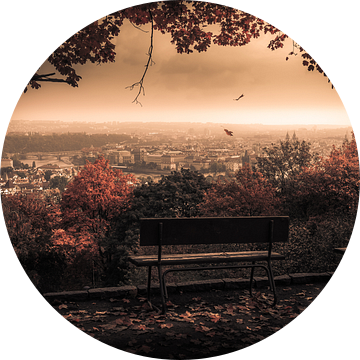 Herfst in Praag op de Petrin heuvel van Martijn van Steenbergen