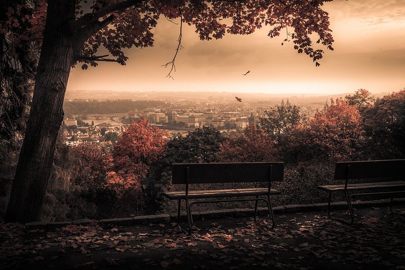 Herfst in Praag op de Petrin heuvel van Martijn van Steenbergen