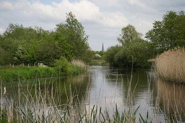 Spaziergang entlang der Dommel