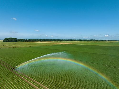 Besproeiingspivotmachines sproeien water op een veld