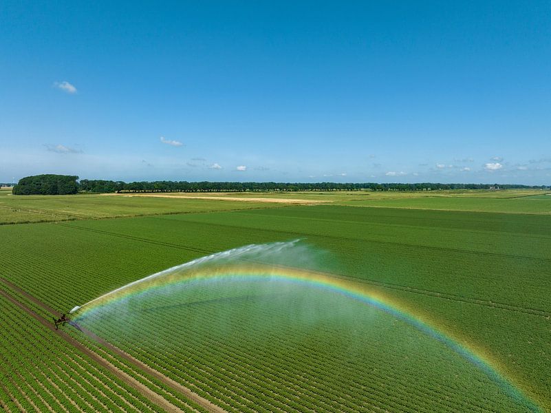 Pistolet d'irrigation pulvérisant de l'eau dans un champ par Sjoerd van der Wal Photographie