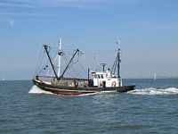 Vie résistante de pêcheur ....