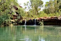 Fern Pool