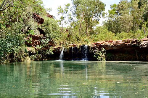 Fern Pool