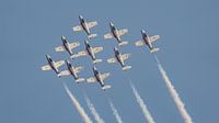 Canadian Armed Forces Snowbirds. by Jaap van den Berg thumbnail
