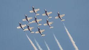 Snowbirds der kanadischen Streitkräfte.