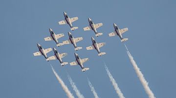 Canadian Armed Forces Snowbirds. van Jaap van den Berg