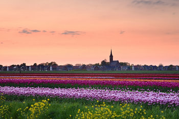 Middenbeemster in het avondlicht