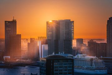 Ochtend Glorie in Rotterdam van Bas Van den Berg