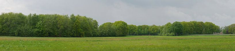 Reestdal met bossen en weides. van Wim vd Neut